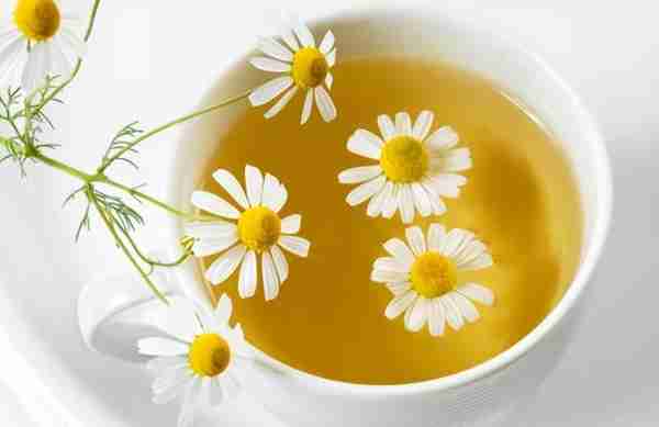 在夏季菊花茶是人们的最爱，那么菊花茶的功效还有哪些？