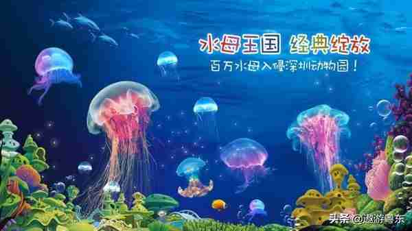 平价快乐亲子游，仅139.9元+深圳野生动物园，限时特惠