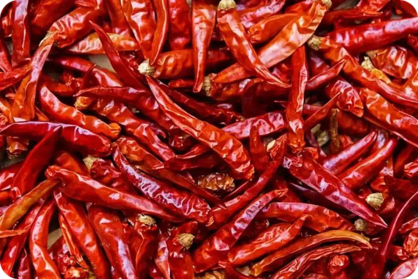 世界上最辣的辣椒，几乎没人能吃的下去